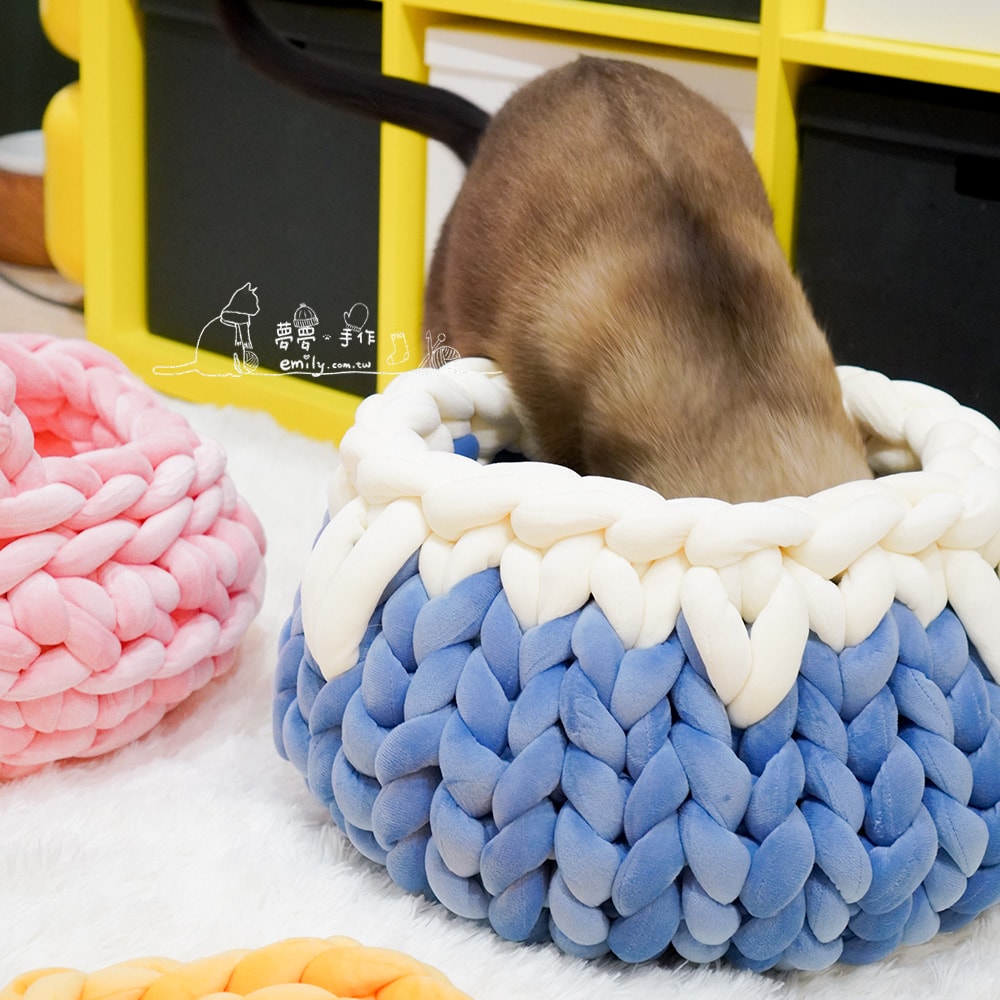 【實體課程】富士山貓窩